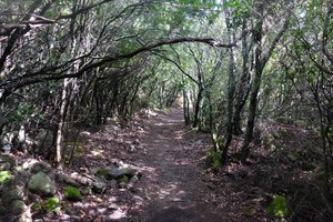 Monte Santu - Sari - Korsika