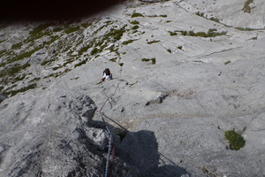 Plattenspieler - Festkogel - Gesäuse