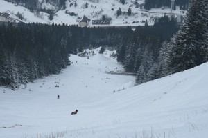 Polster über den Handlgraben - Hochschwab