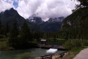Polsterluckenrunde - Hinterstoder - Totes Gebirge
