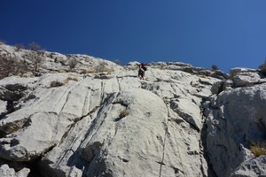 Radoznali Muflon - Osičine-Kuranik - Biokovo