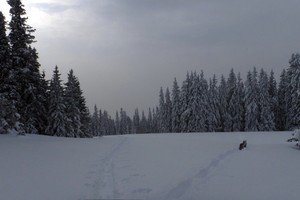 Riders on the Storm - Hoher Schilling - Vordernberg