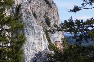 Rote Wand Rundwanderung über die Tyrnauer Alm - Grazer Bergland