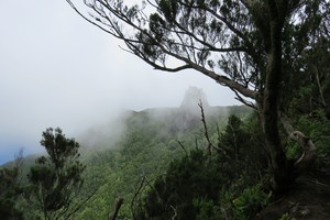 Rund um den Chinobre - Anaga - Teneriffa