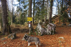 Schiffall und Kreuzkogel von Mixnitz - Gleinalpe Ausläufer