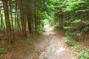 Schöckl vom Falschgraben - Grazer Bergland