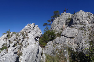 Smultronstället (Wilde Erdbeeren) - Rannerwand - Grazer Bergland Smultronstället (Wilde Erdbeeren) - Rannerwand - Grazer Bergland