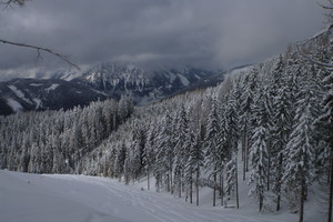 Thalerkogel vom Rötzgraben - Trofaiach