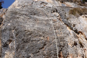 Thymianpfeiler - Rote Wand - Grazer Bergland Thymianpfeiler - Rote Wand - Grazer Bergland