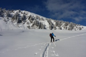 Triebenfeldkogel vom Triebental - Triebener Tauern
