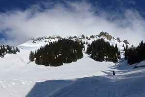 Wildfeld vom Gößgraben - Eisenerzer Alpen
