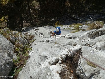 AlpenSalamander - 1.SL