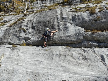 Luchs - 3.SL auf die Wulst